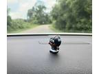 NFL Pipsqueak New York Giants Pipsqueak car dashboard buddy all teams are here