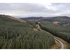 Lot 2 Moness Forest, Aberfeldy, Perthshire PH15, land for sale - 64543168