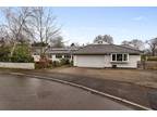 Hawthorn Grove, Yarm, Durham TS15, 6 bedroom bungalow for sale - 64276828