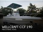 19 foot Wellcraft CCF 190