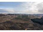 Forestry & Renewables Portfolio, Aberfeldy, Perthshire PH15