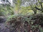 4.47 Acres of Woodland, Garth Hill, Cardiff CF15 9HS Land for sale -