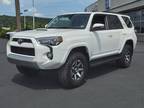 2019 Toyota 4Runner TRD Off-Road Premium