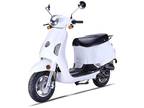 2021 Wolf Brand Scooters Wolf Lucky II