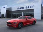 2023 Ford Mustang Red, 247 miles