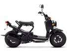 Used 2024 Honda® Ruckus