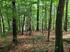 Plot For Sale In Madison, New Hampshire