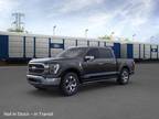 2023 Ford F-150 Black, new