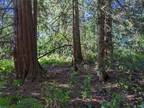 Plot For Sale In Snohomish, Washington