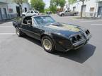 1981 Pontiac Firebird Trans Am SE Black