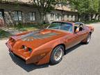 1980 Pontiac Firebird Trans Am Brown