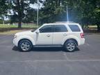 2010 Ford Escape Limited 4dr SUV