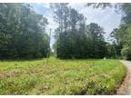 Plot For Sale In Fosters, Alabama