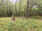 Plot For Sale In Coldspring, Texas
