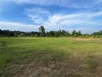 Plot For Sale In Dry Prong, Louisiana