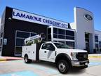 2022 Ford F-550 White, 377 miles