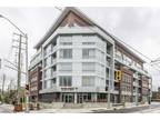 Bachelor - Waterloo Apartment For Rent The Red ID 448924