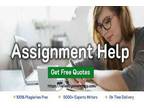 Best Assignment Help At Affordable Price