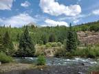 TBD CR 2 ANIMAS RIVER AND ARRASTRA CREEK, Silverton, CO 81433 Land For Sale MLS#