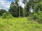 317 WATER WELL RD, Lufkin, TX 75901 Land For Sale MLS# 42999771