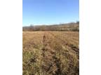 2144 ROUTE 130 T583, Latrobe, PA 15650 Farm For Rent MLS# 1598862