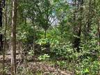 Plot For Sale In Log Cabin, Texas