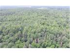 Secluded/Wooded 40 Acres in Brook Park