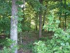 Plot For Sale In Waverly, Tennessee