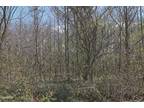 LOT 4 MT HELEN RD, Allardt, TN 38504 Land For Rent MLS# 1206670