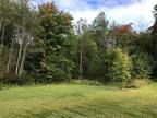 31 MCLAUGHLIN LANE, Locke, NY 13092 Multi Family For Sale MLS# R1369609