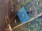 Plot For Rent In Big Sandy, Tennessee