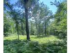 Plot For Sale In Wallace, Michigan