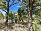 102 PROMONTORY PL, Alto, NM 88312 Single Family Residence For Sale MLS# 129337
