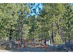 125 OLD MILL PL Washoe Valley, NV