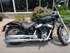 2020 Harley-Davidson Softail® Standard