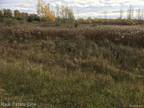 02 SINGLE TREE CIRCLE, Dryden, MI 48428 Land For Sale MLS# [phone removed]