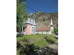 117 S SILVER ST, Lake City, CO 81235 Single Family Residence For Sale MLS#
