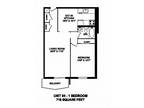 Capitol Hill Apartments - 1 Bed 1 Bath B