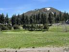 41 LIGHTNING W RANCH RD, Washoe Valley, NV 89704 Land For Sale MLS# 230004002