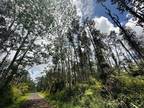 Plot For Rent In Pahoa, Hawaii