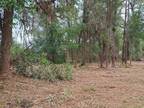 1100 NEW POINT PETER RD, St. Marys, GA 31558 Land For Sale MLS# 20084696