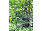 L161 Clark Road, Middle Grove, NY 12850