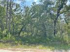 18043 NIGHTHAWK RD, WEEKI WACHEE, FL 34614 Land For Sale MLS# W7855276