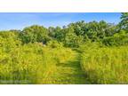 Plot For Sale In Oceola Township, Michigan