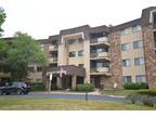 3350 North Carriageway Drive, Unit 403, Arlington Heights, IL 60004