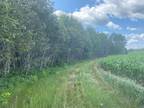 Plot For Sale In Amberg, Wisconsin