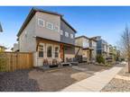 399 OSIANDER ST, Fort Collins, CO 80524 Single Family Residence For Rent MLS#