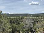 TBD COUNTY ROAD 1C, Montrose, CO 81403 Land For Sale MLS# 803190