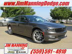 2023 Dodge Charger Gray
