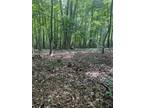 Plot For Sale In Mount Nebo, West Virginia